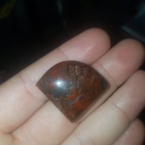 Red petrified wood from India